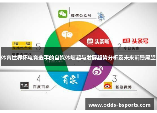 体育世界杯电竞选手的自媒体崛起与发展趋势分析及未来前景展望