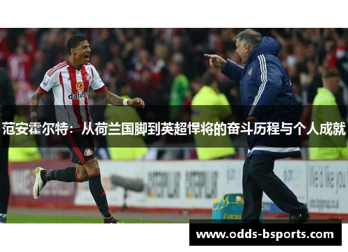 范安霍尔特：从荷兰国脚到英超悍将的奋斗历程与个人成就