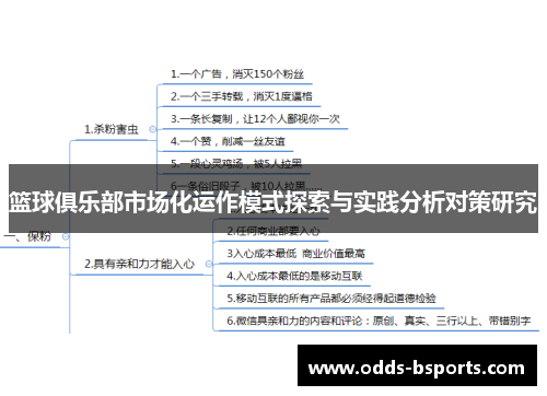 篮球俱乐部市场化运作模式探索与实践分析对策研究