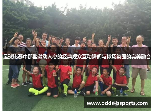 足球比赛中那些激动人心的经典观众互动瞬间与球场氛围的完美融合