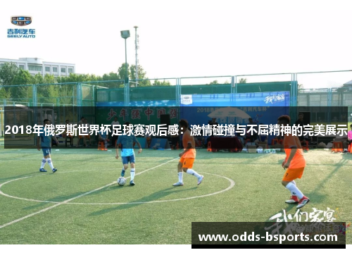 2018年俄罗斯世界杯足球赛观后感：激情碰撞与不屈精神的完美展示