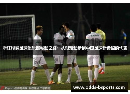 浙江绿城足球俱乐部崛起之路：从艰难起步到中国足球新希望的代表