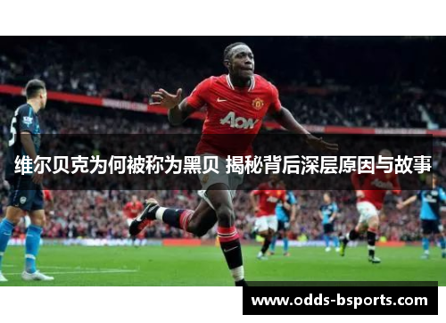 维尔贝克为何被称为黑贝 揭秘背后深层原因与故事 维尔贝克为何被称为黑贝 揭秘背后深层原因与故事